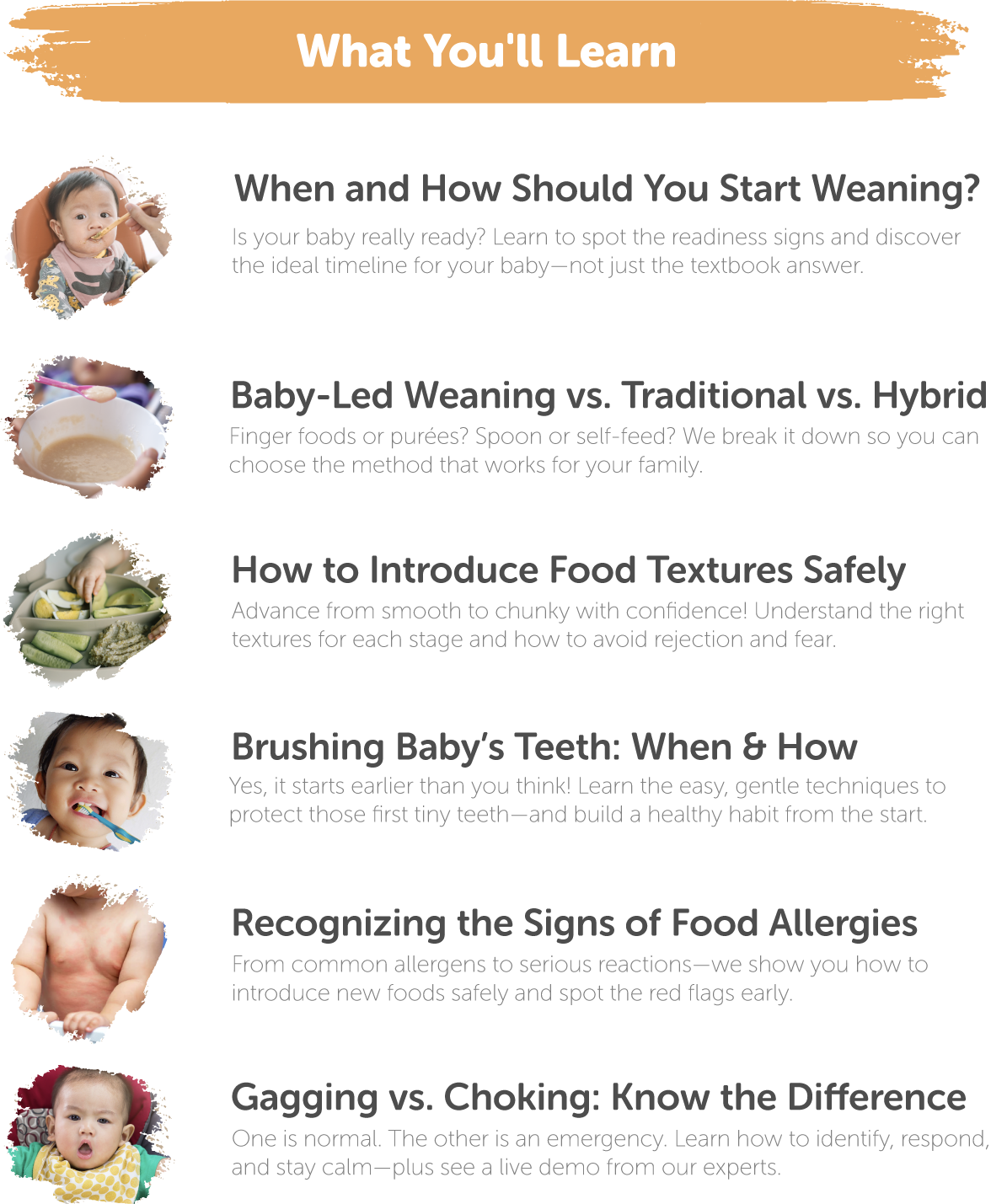 weaning-topics-r1.png