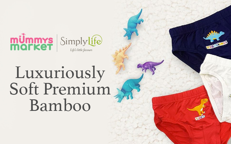 Fairprice Premium Disposable Maternity Panties - Maxi